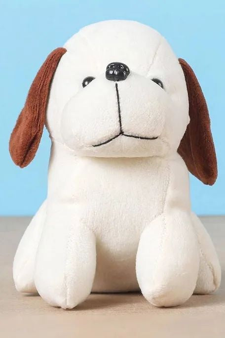 Romeo the Dog